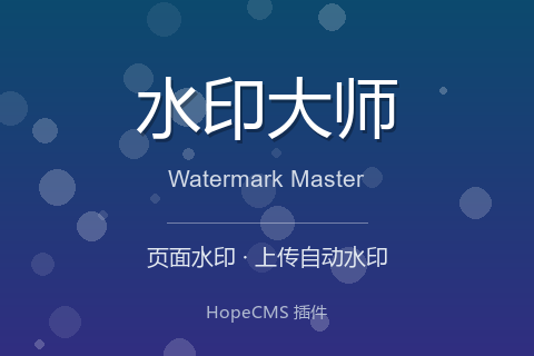 水印大师